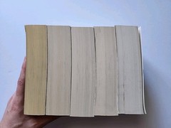 Game of Thrones Book Series George R. R. Martin A Song of Fire and Ice Paperback