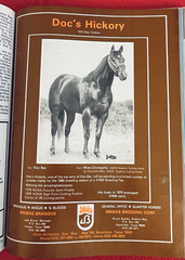 1979 Quarter Horse Journal, Book, STALLION EDITION! – KIDNAP BAR – ZAN PARR BAR