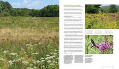 The Living Landscape: Designing for Beauty and Biodiversity in the Home Garden