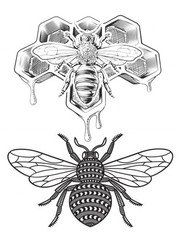 Save the HoneyBees coloring book 108 Pages 8.5 x 11 for All Ages