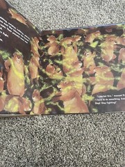 The Great Fuzz Frenzy By Janet Stevens (2005 Hardcover ) With Read Along CD