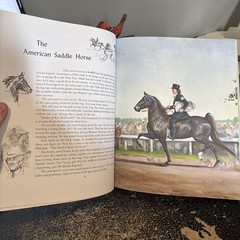 Album of Horses – Paperback By Henry, Marguerite – 1994 Very Nice Condition