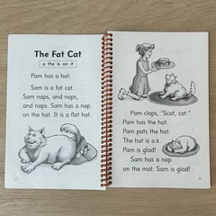 Go Phonics The Fat Cat Short Vowel Stories Level 2 Decodable Reader Book