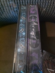 Mystic Box *SIGNED * Nocticadia & Master of Salt and Bones by Keri Lake W/Prints