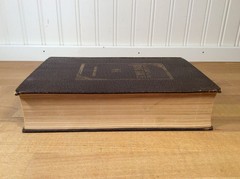 The Story of the Irish Race, Seumas MacManus, 1922 Hardcover, 3rd Edition
