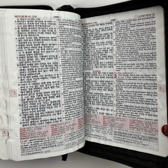 NIV NKRV Korean-English Study Bible Zippered Faux Leather Word of Life Press