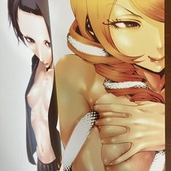 Akira Hiramoto Art Book GAMPUKU Prison School Manga Anime Illustration Design