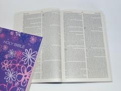 ICB Holy Bible, Purple Cover, International Children’s Bible Ages 7-11 Paperback