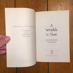 A Wrinkle In Time by Madaleine L’Engle (2007 Square Fish Trade Paperback)