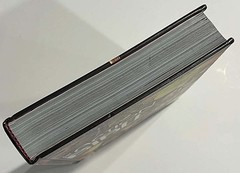 The Action Bible God’s Redemptive Story Sergio Cariello NEW Hardcover Print #16