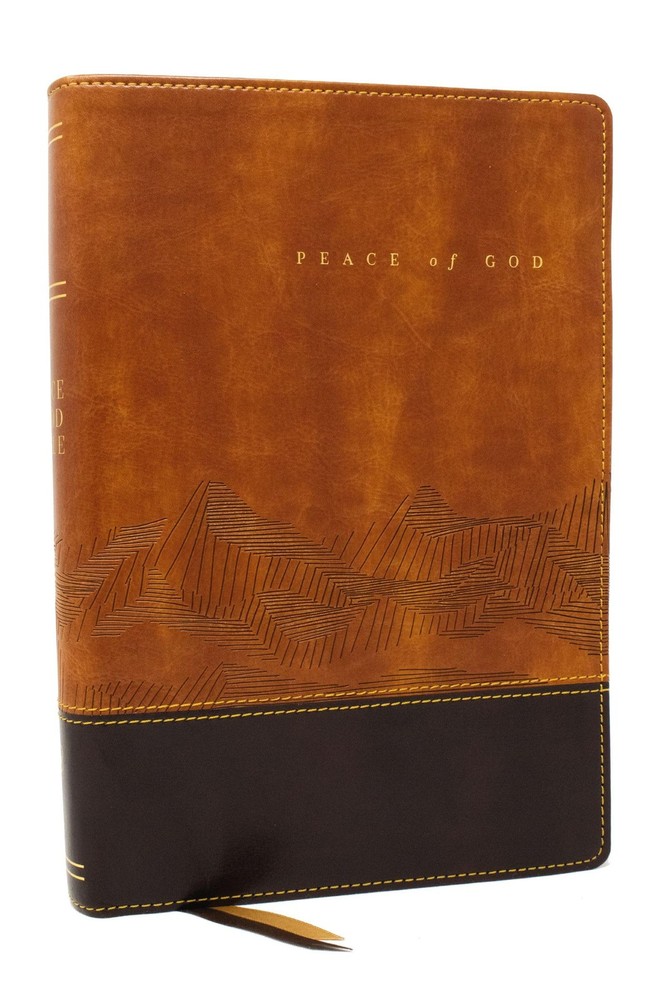 Peace of God Bible: Discover and Experience God’s Shalom Throughout the Bible
