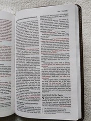 NIV Thinline Bible Elegant 9.4-point Print Size Words of Christ in Red Leatherso
