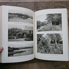 1925. 1st Ed. Ireland Beautiful By Wallace Nutting | Illustrated Photography HC