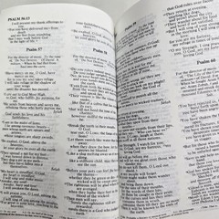 Holy Bible NIV NT Psalms Good News Camo Military Mini 2 Books Vintage Pocket
