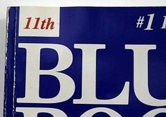 Blue Book of Dolls & Values 11th Edition Jan Foulke Color Photos 368 Pages