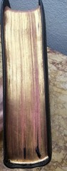 KJV Scofield Reference Bible Marrakesh Persian Morocco Leather VERY GOOD L@@K🌟