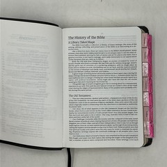 NRSV New Revised Standard Version Premium Bible Black Bonded Leather Abingdon