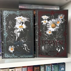 Torment Part 1 and Part 2 by Dylan Page Mystic Book Box Special Editions