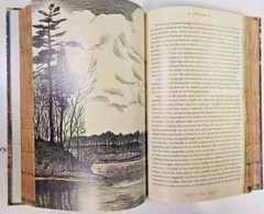 THE ILLUSTRATED WALDEN or Life in the Woods Henry David Thoreau Illustrated NEW