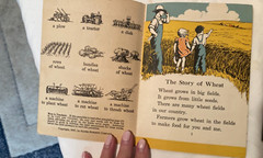 Vintage 1930’s Silver Burdett Co. Supplementary Reading Pamphlet Books
