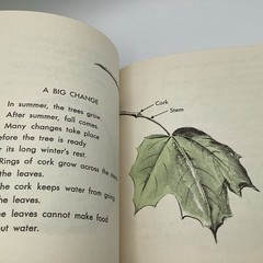 WHAT IS A TREE (The What Is It Series) by Gene Darby, Benfic Press, 1962
