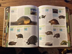 Smithsonian Institution Animal : The Definitive Visual Guide to the World’s…