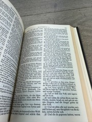 Vintage 1967 Die Bibel Martin Luther National Bible Press Black HC German USA