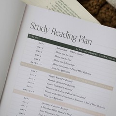 The Daily Grace Co Free From Shame – How the Gospel Redeems our Past Bible Study