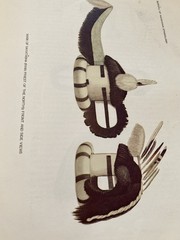 The Zuni Indians Ethnology Report 1901-1902 1970 Bureau of American Ethnology