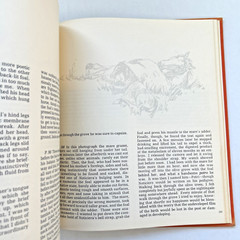 EQUUS by Robert Vavra – First Edition 1977 Hardcover Vintage