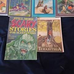 10 Pieces Various Titles Various Authors Young Adult Paperback Book Novel Lot