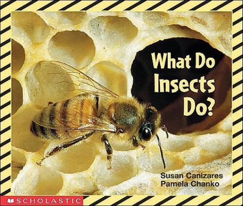 What Do Insects Do? (Science Emergent Reader) – Paperback – GOOD