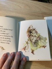 Vera in the Garden by Marjolein Bastin (Hardcover)