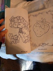 Vintage 2006 Strawberry Shortcake Big Best Book To Color Unused With Stickers