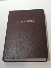 Holman HCSB Gift and Award Bible 2009 Burgundy Faux Leather Christian Standard