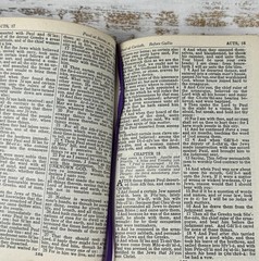 New Testament & Psalms ~ Self Pronouncing Edition National Bible Press Leather