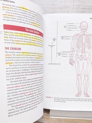 E-Z Anatomy and Physiology (Barron’s Easy Way) Paperback Book
