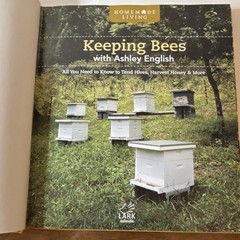 Ashley English Keeping Bees Tend Hives Harvest Honey Hardcover Lark 2011