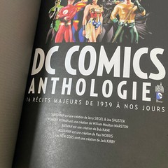 DC COMICS Anthologie – (DC ANTHOLOGIE) (French Edition) Hardcover Comic Book