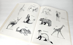 Dover Clip Art Ready-to-Use Animal Illustrations 161 Different Copyright Free