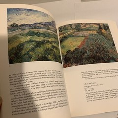 Van Gogh in Saint-Remy and Auvers Hardcover Art Book