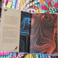 This Is How You Lose the Time War Deluxe Ed HC w/Dust Jacket 2019