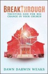 Breakthrough: Trusting God for Big Cha- 0827203284, paperback, Dawn Darwin Weaks
