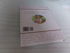 Chosen By Rosemary Sandberg Great Girl Stories Literature Book Treasury Classics