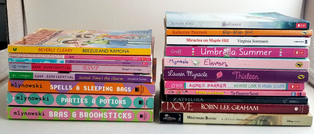 Lot of 19 Paperback Chapter Books For Young Teen Boys /Girls B73