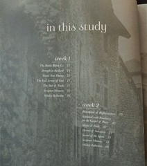 The Daily Grace Co. Stand Firm Bible Study Book, Trade Paperback
