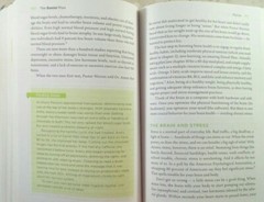 The Daniel Plan Ser.: The Daniel Plan : 40 Days to a Healthier Life by Daniel G.