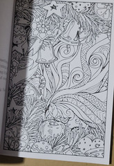 COLORFUL ESCAPES -A Wonderland of Color! Vol. 23 – Adult Coloring Book- 47 Pages