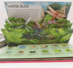 Lot Of 2~Learning Books~3-D Explorer Bugs~Reading 2008 Student Edition Grade 2.1