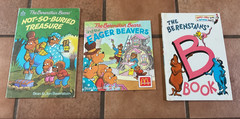 Lot of 25 Berenstain Bears Paperback Books by Stan & Jan Bernstein Various